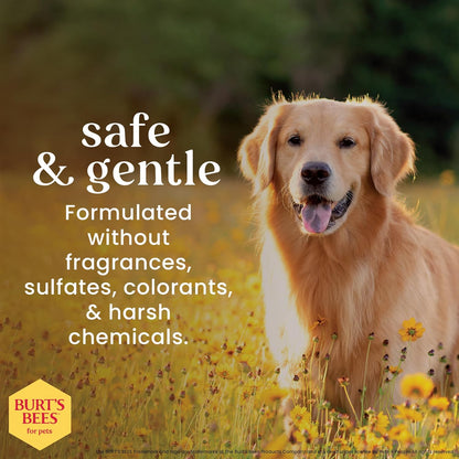Honey Multipurpose Dog Grooming Wipes, Gentle Hypoallergenic Spot Cleaning Sheets, Ph Balanced Natural Origin Formula for Paws, Face and Butt, 50 Count - 3 Pack