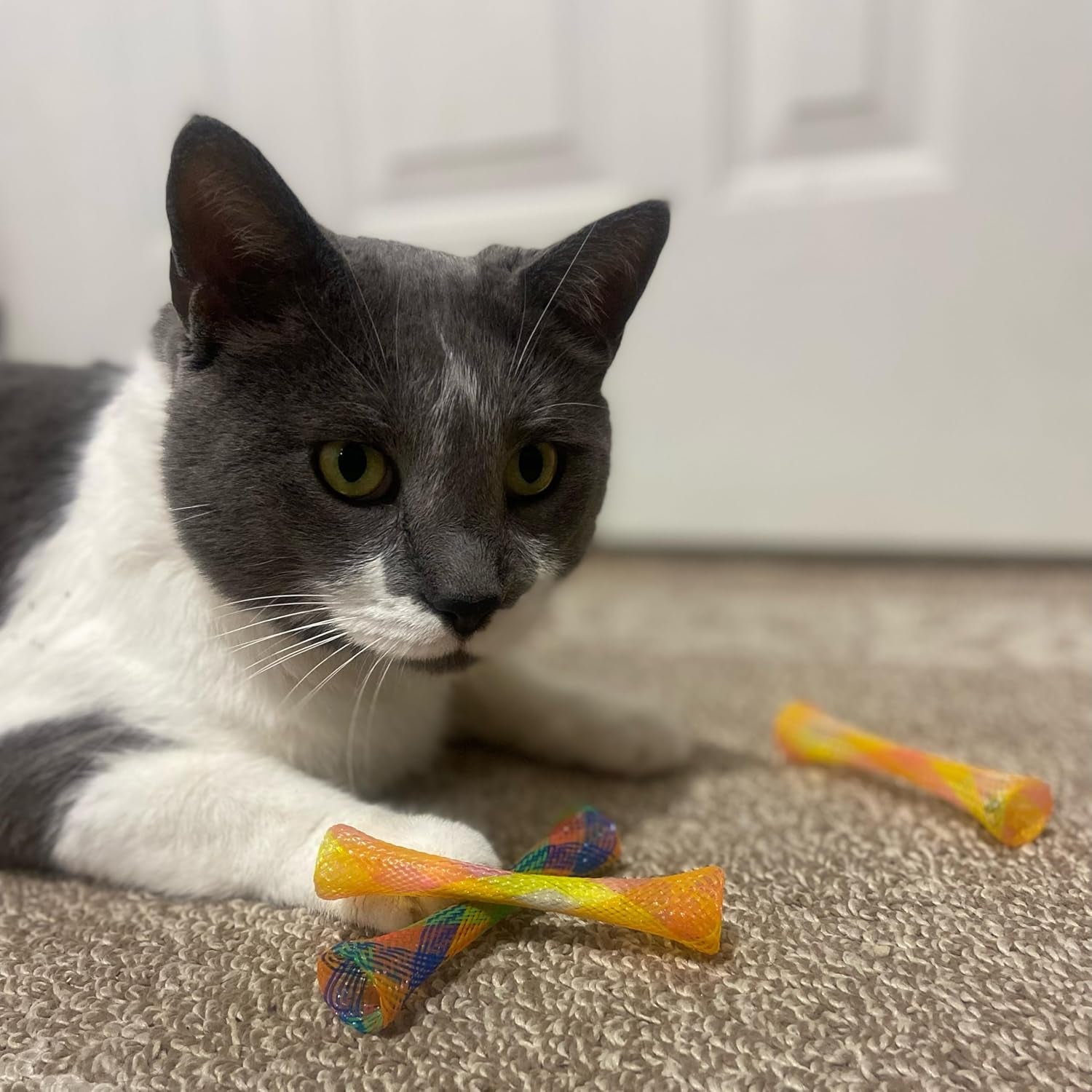 Kitty Fun Tubes Cat Toy | Bouncy Cat Toy with Catnip inside for Cats and Kittens to Bite, Swat and Chase | Interactive Cat Toy | 3 Pieces