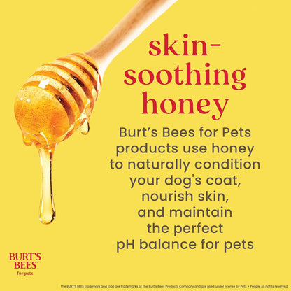 Honey Multipurpose Dog Grooming Wipes, Gentle Hypoallergenic Spot Cleaning Sheets, Ph Balanced Natural Origin Formula for Paws, Face and Butt, 50 Count - 3 Pack